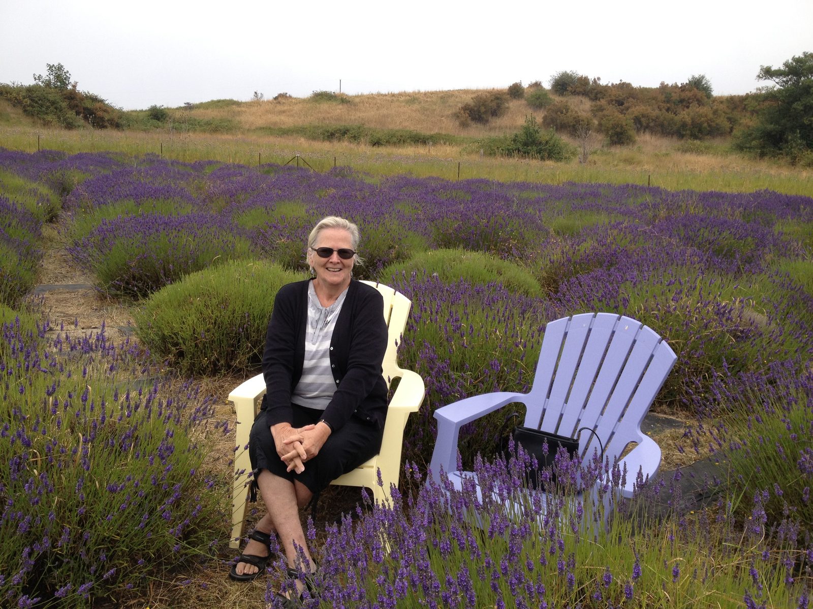 ...but they had lovely chairs set out.  Still was a little nippy with late morning fog / haze.